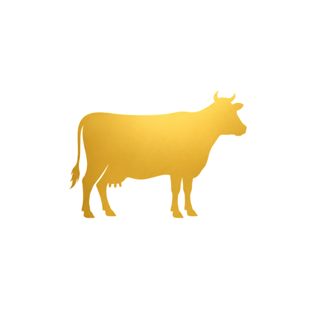 Cattle Feed